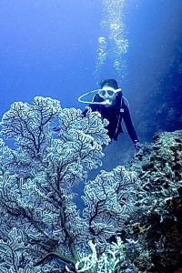 Vivi long 聖地亞哥假日飯店 - 機場航廈優惠