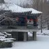风中小荻