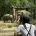 Bronx Zoo