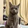 Avatar 2