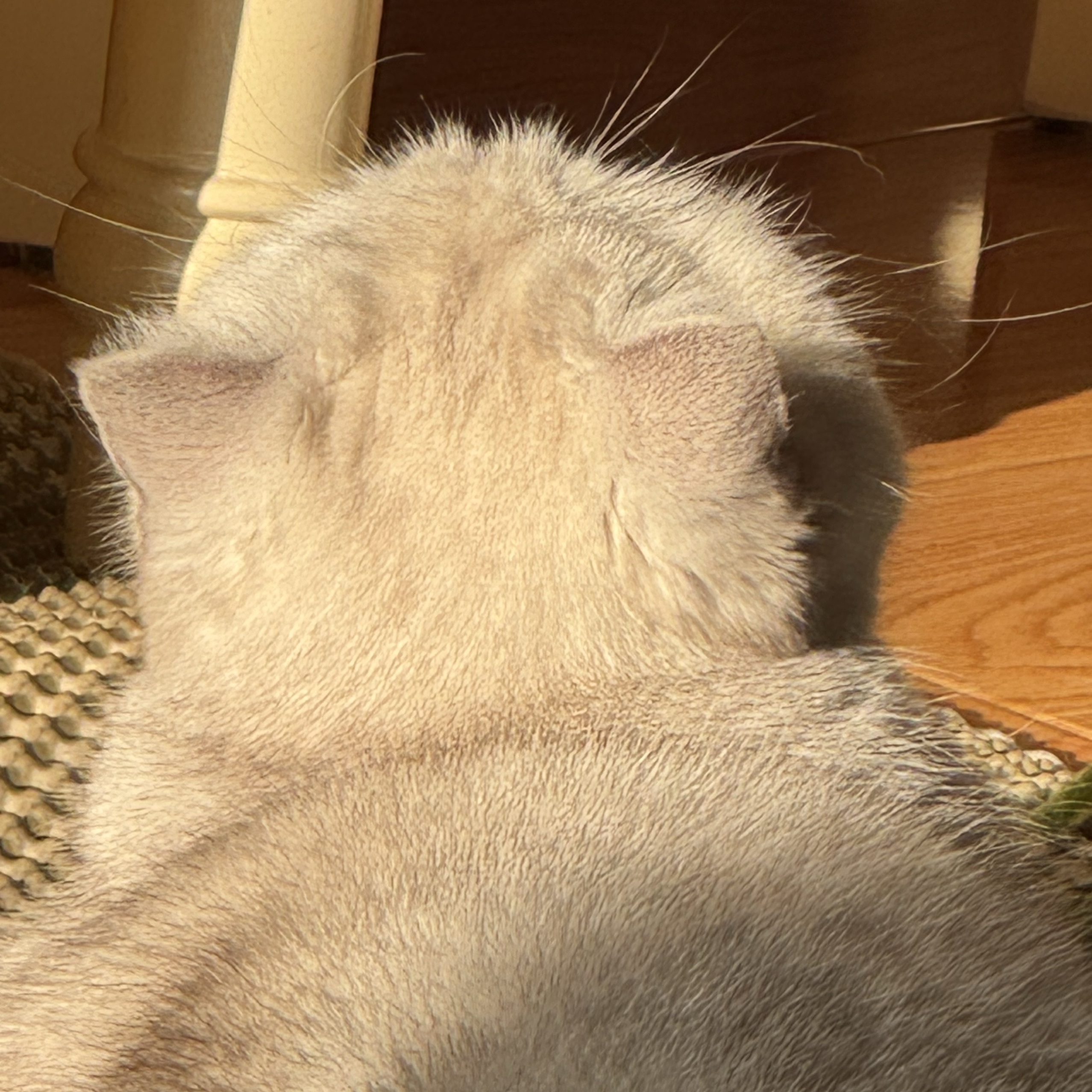 head-img
