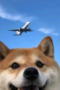 Buyuantoulouxingshideluoxiansheng 鉑瑞·餘舍飯店（成都天府國際機場店）優惠