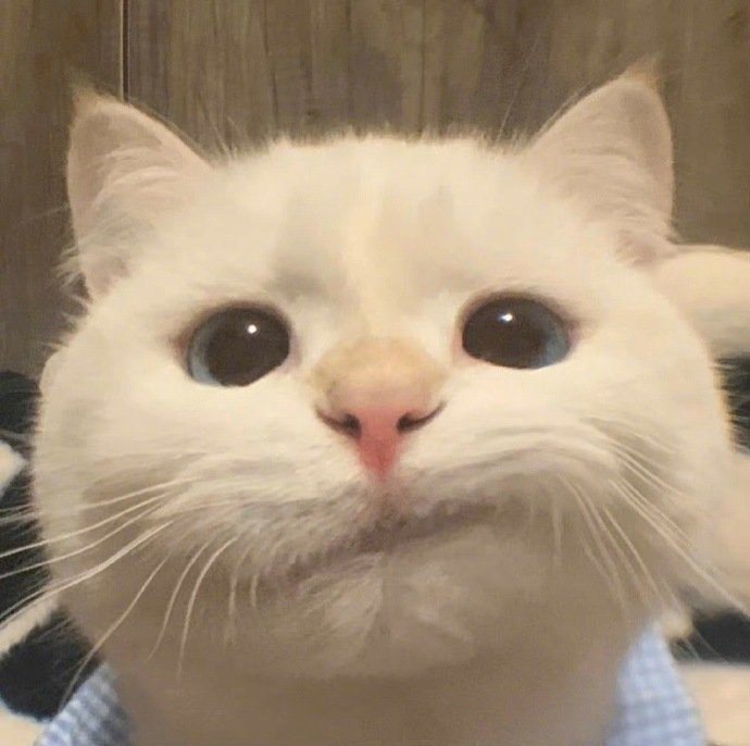 head-img