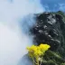 来自天堂的灵魂