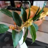 Avatar 2