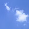 user-icon