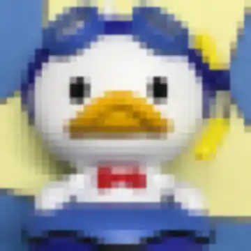 萨拉热窝的夏雨荷