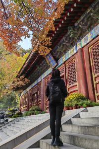 M14957**** 雅典普瑞亞酒店優惠