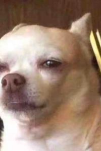 Bannayoudianre 曼谷素坤逸路假日酒店優惠