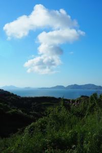 Zuihoudeqishi1974 喬治布什洲際機場克拉麗奧酒店優惠