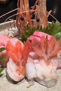 Xiaolian 新加坡尚乘奧克伍德豪景酒店公寓 （Staycation Approved）優惠