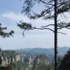Avatar 2