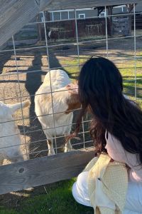 Yijiaochuaifeimogu 女人海灘工作室 - 全包式酒店優惠