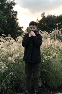 Yangnike 希爾頓德雷斯頓酒店優惠