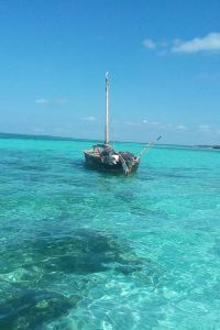 yz6568 舊金山斯坦福庭院酒店優惠