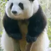 Avatar 1