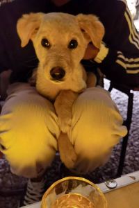 Zouashaonian quchuiyichuinimingyunlidefeng 新合創意飯店（區中醫醫院店 ）優惠