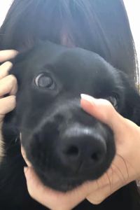 Cucuc 百老匯的馬提尼克島紐約希爾頓精選酒店優惠