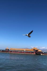 0980**** 約克希爾頓逸林酒店優惠