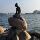 1361188**** 名古屋洛伊斯飯店優惠