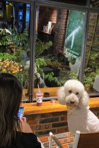 Feihudafeizhu 吉隆坡城中城床之選飯店優惠