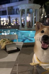 Xuxurobin 來往時尚酒店（德慶文蘭北路店）優惠