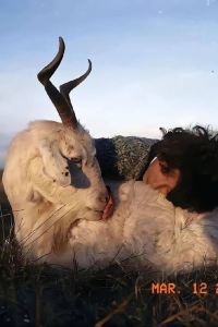 TAO TAOZI 廣州南湖假日酒店優惠