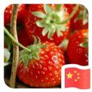 violet1699 澀谷東急住宿酒店優惠