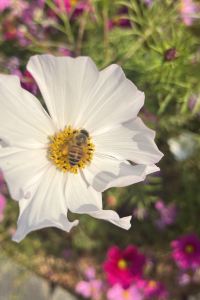 jessica-606 澳門鎮興賓館優惠