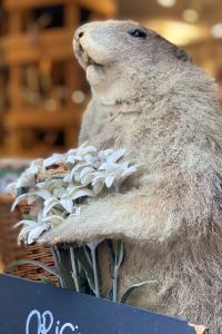 Travel poet 蒙特勒託斯卡納別墅酒店優惠