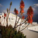 M22700**** 澳門大倉飯店優惠