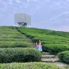 Avatar 2