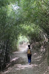 訪客 桔子水晶深圳南山科技園酒店優惠
