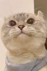 Zhongzhongzhongya 捨得棧民宿（佛山順德清暉園店）優惠