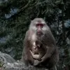 Avatar 3