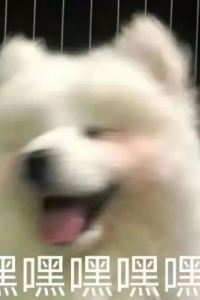 Dingdadabuchibuding 澳門華都飯店優惠