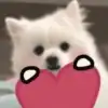 user-icon