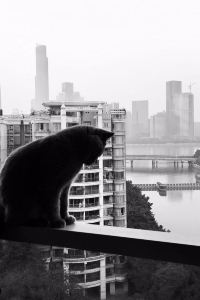 Jakeyii 麗呈朗譽飯店（肇慶七星巖景區店）優惠