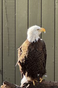 Jipiaohaogui，rangwoshengshengba WING國際精選飯店-大阪梅田優惠