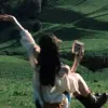 Avatar 2