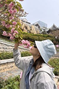 Linvshi 朝日屋日式旅館優惠