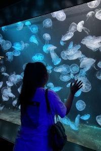 Fanqiejiangban 曼谷拉瑪9號美蒂雅飯店優惠