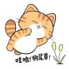 user-icon