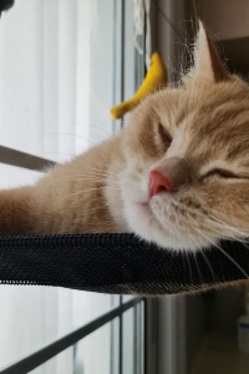 M23919**** 廣州花園酒店優惠