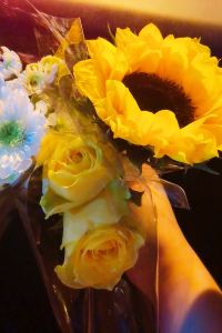 Bolixiaoxiaoxiaowawa 東橫Inn 新青森站東口優惠