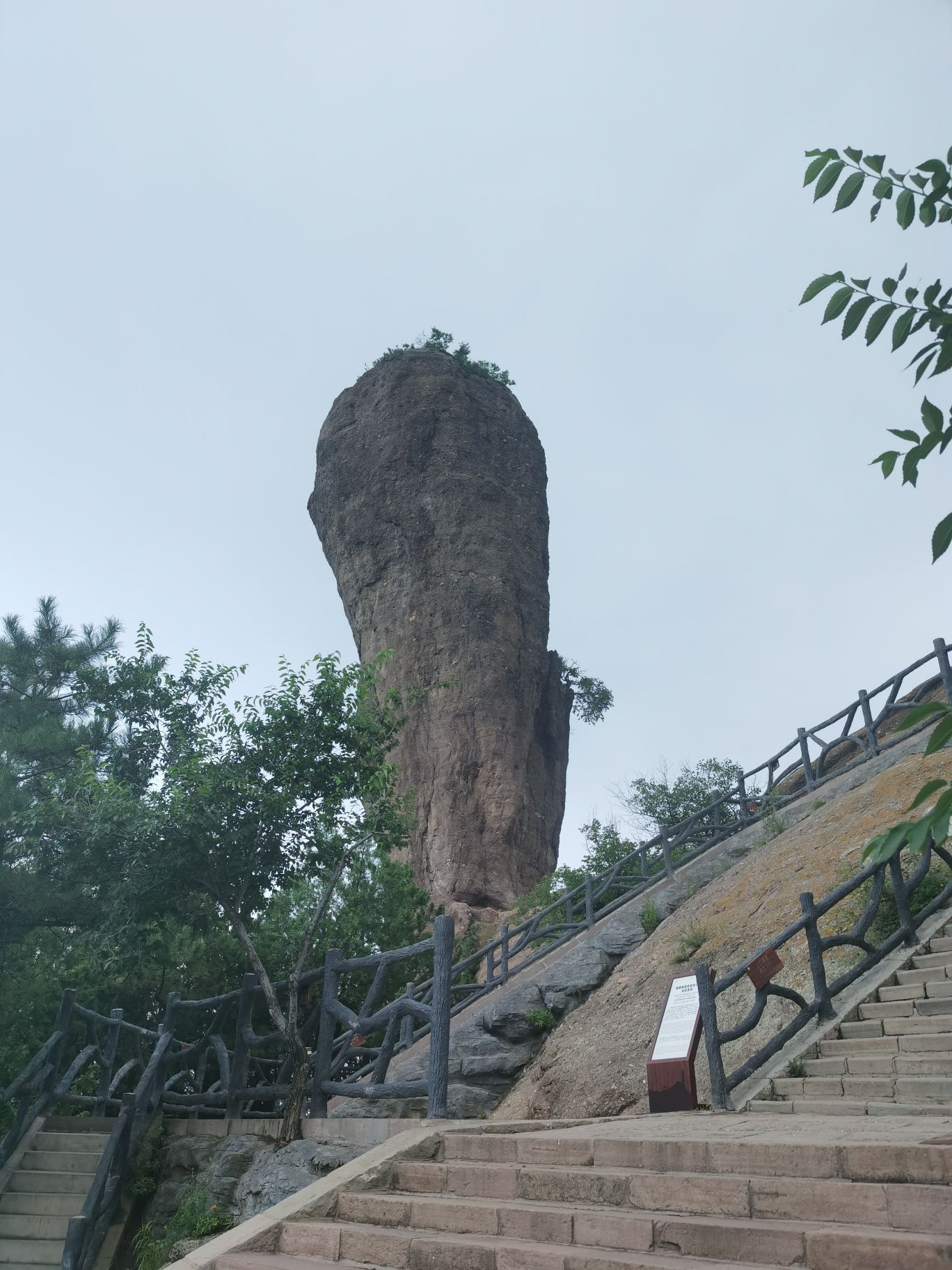 head-img