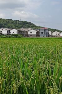 hgygdf a&o 愛丁堡城市青年旅舍優惠