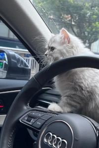 Anyushu 大理攬雲塵宿客棧優惠