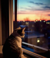 https://ak-d.tripcdn.com/images/0Z81q12000d0buguqA4E7.jpg
