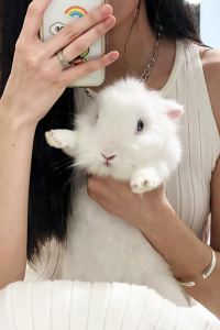 YikouzhishiAle 北京貝爾特酒店優惠